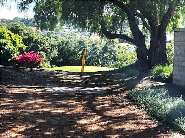 15 Canada Oaks, Coto De Caza, CA 92679 - photo 62