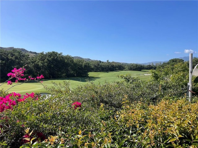 15 Canada Oaks, Coto De Caza, CA 92679 - photo 60