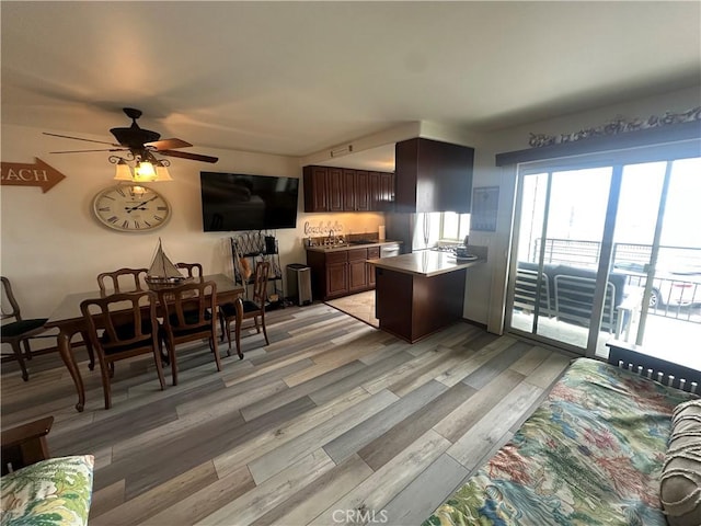 1202 N Pacific St Unit 204A, Oceanside, CA 92054 - kitchen featuring a peninsula, a ceiling fan, dark brown cabinets, light wood-style flooring, and a sink