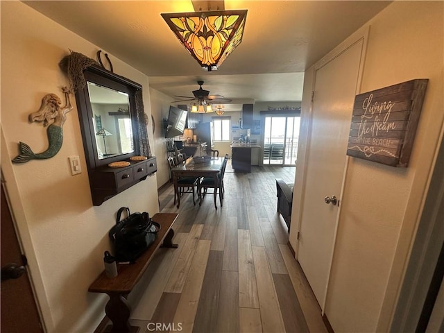 1202 N Pacific St Unit 204A, Oceanside, CA 92054 - hallway with wood-type flooring