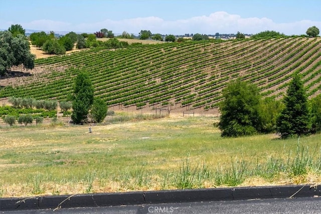2230 Del Sol Pl, Paso Robles, CA 93446 - photo 12