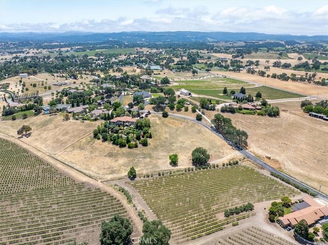 2230 Del Sol Pl, Paso Robles, CA 93446 - photo 2