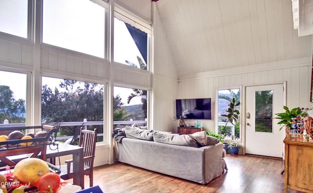 5500 Casitas Pass Rd, Ventura, CA 93001 - living room featuring light wood-type flooring and high vaulted ceiling