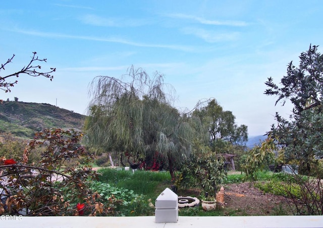 5500 Casitas Pass Rd, Ventura, CA 93001 - view of yard with a mountain view