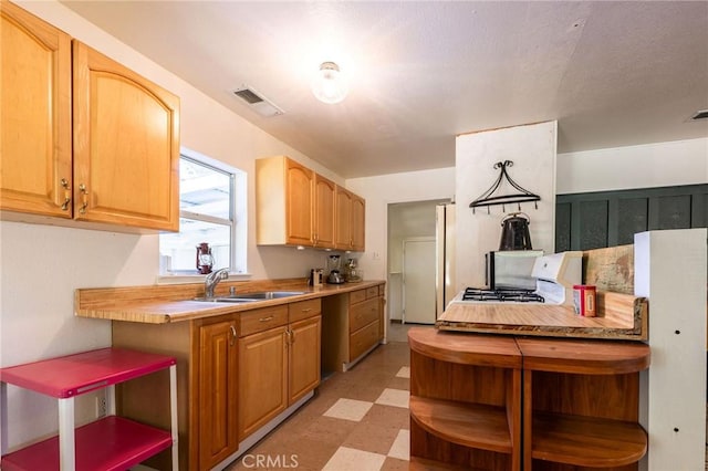 3080 State Highway 45, Glenn, CA 95943 - kitchen featuring a sink, open shelves, light floors, light countertops, and gas stove