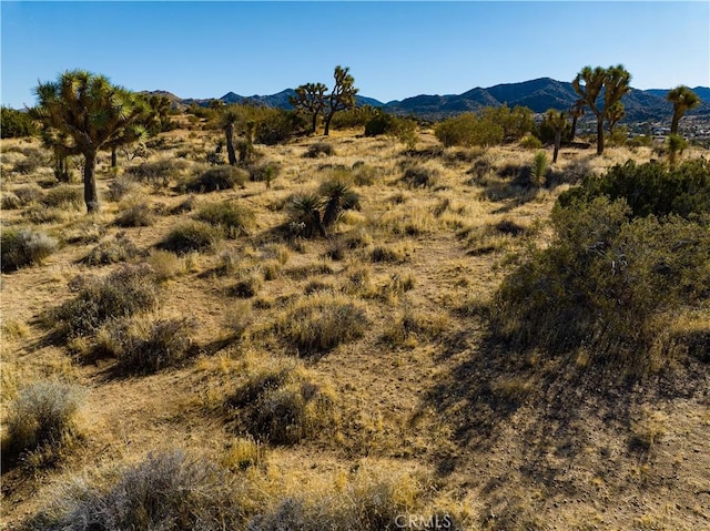 58980 Santa Barbara Dr, Yucca Valley, CA 92284