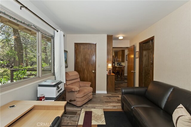 1249 Yellowstone Dr, Lake Arrowhead, CA 92352 - living room featuring wood finished floors