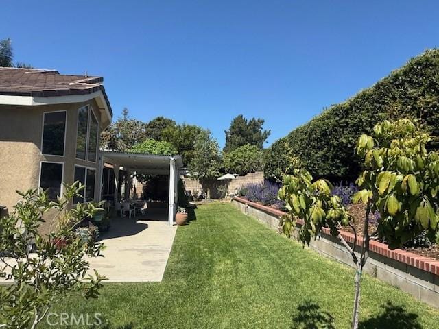 view of yard featuring a patio area