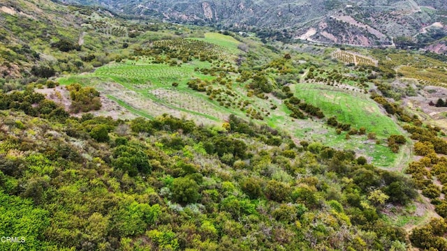 5550 Rincon Rd, Ventura, CA 93001