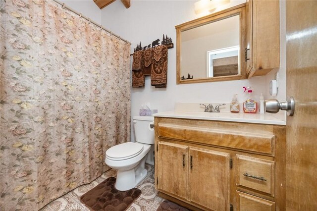 32947 Squirrel Ln, Arrowbear, CA 92308 - bathroom featuring toilet, vanity, and a shower with shower curtain