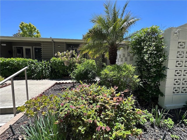 253 Calle Aragon Unit F, Laguna Woods, CA 92637 - view of yard