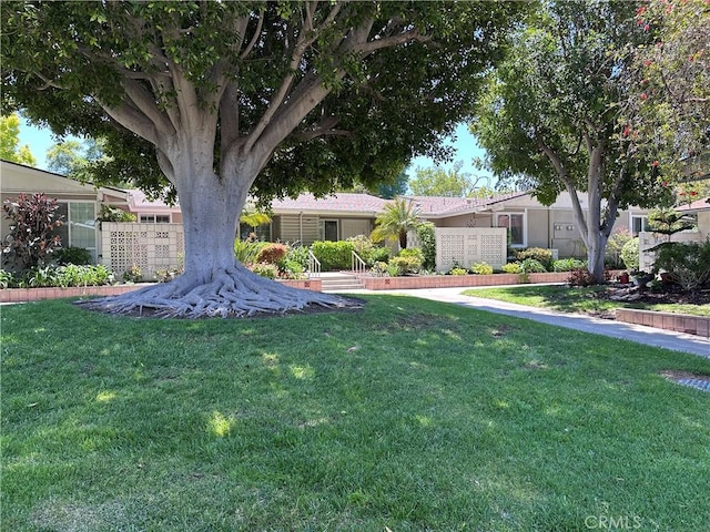 253 Calle Aragon Unit F, Laguna Woods, CA 92637 - view of grassy yard