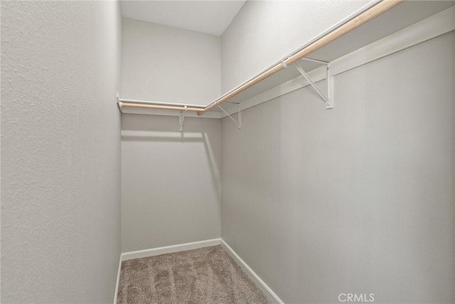 5122 Feather Rock Ct, Paradise, CA 95969 - spacious closet with carpet flooring