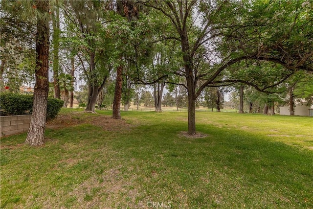 38970 Paseo De Oro, Murrieta, CA 92563 - view of green lawn