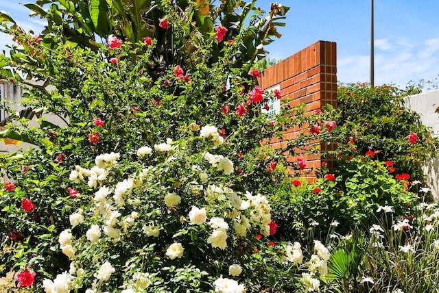 18620 Hatteras St Unit 223, Tarzana, CA 91356 - exterior view