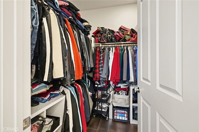 walk in closet featuring wood finished floors