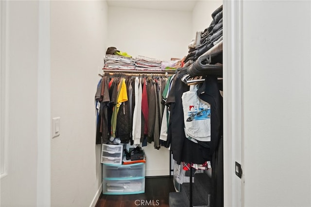 spacious closet featuring dark wood-style floors