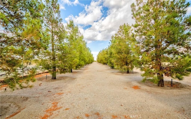 4428 Trumbo Ct, Phelan, CA 92371 - view of street with a view of rural / pastoral area and agricultural plots