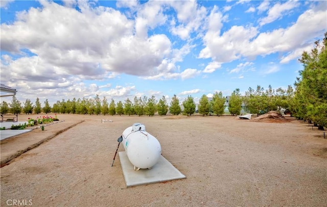 4428 Trumbo Ct, Phelan, CA 92371 - view of home's community