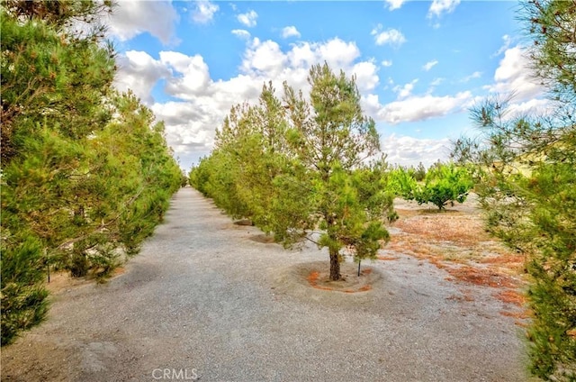 4428 Trumbo Ct, Phelan, CA 92371 - view of community featuring a rural view and agricultural plots