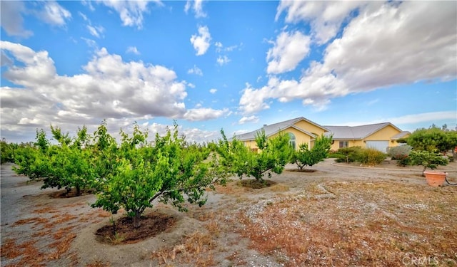 4428 Trumbo Ct, Phelan, CA 92371 - view of yard