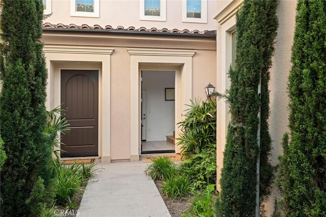 view of exterior entry with stucco siding