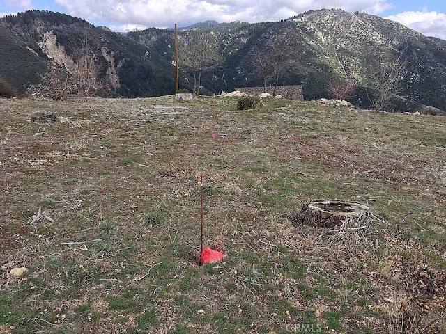35 Pine Cone, Running Springs, CA 92382