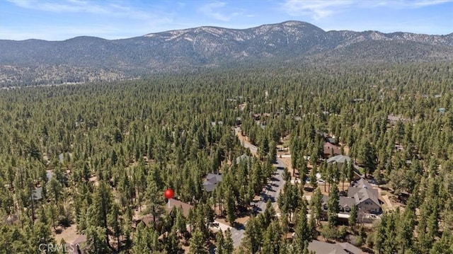 1020 Heritage Trl, Big Bear City, CA 92314 - view of mountain background featuring a heavily wooded area
