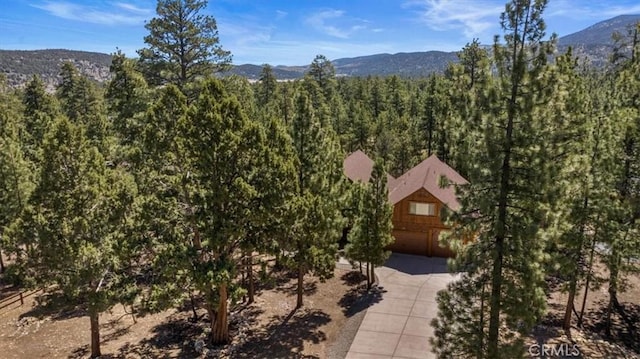 1020 Heritage Trl, Big Bear City, CA 92314 - view of mountain backdrop featuring a heavily wooded area