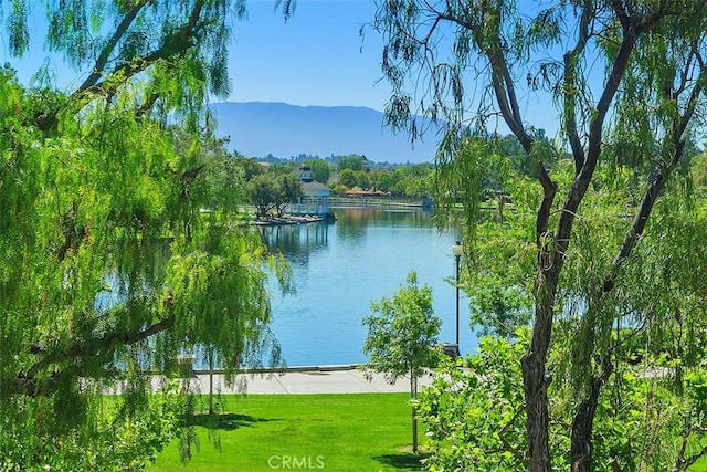 water view featuring a mountain backdrop