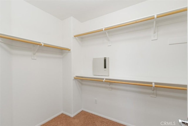 spacious closet featuring light carpet