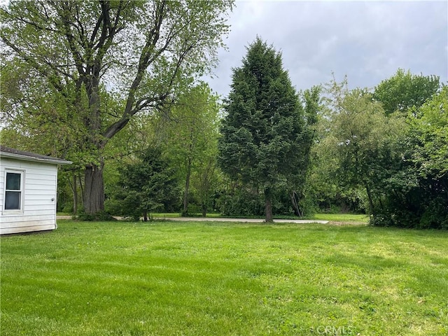 12409 Stamper Rd, Girard, IL 62640 - view of green lawn
