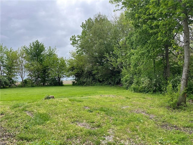 12409 Stamper Rd, Girard, IL 62640 - view of yard