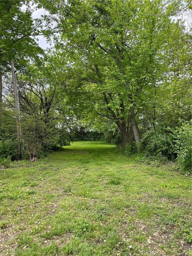 12409 Stamper Rd, Girard, IL 62640 - view of yard