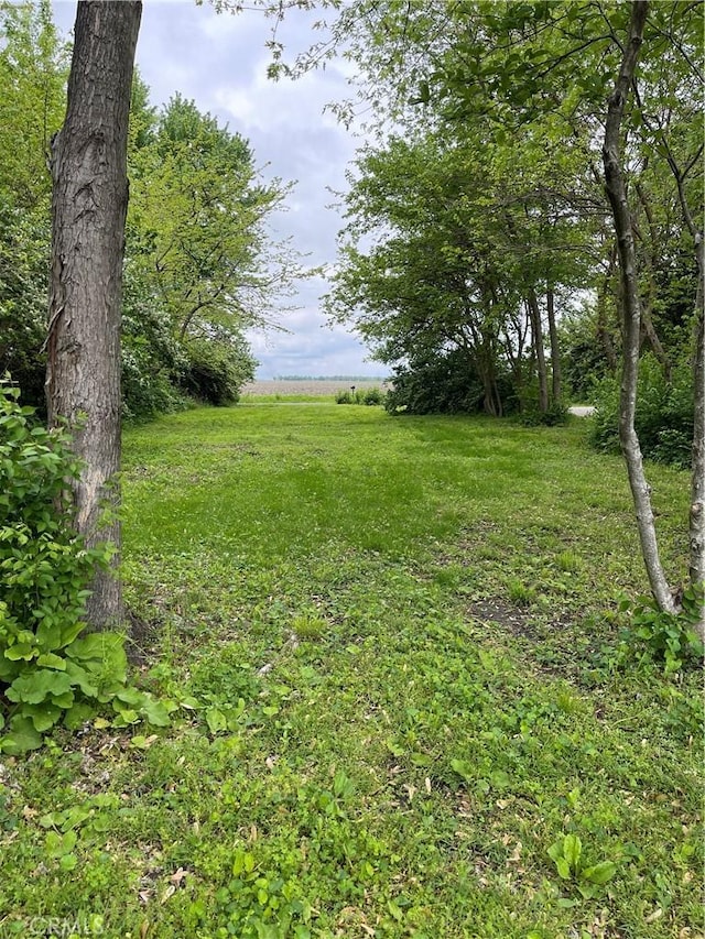 12409 Stamper Rd, Girard, IL 62640 - view of yard