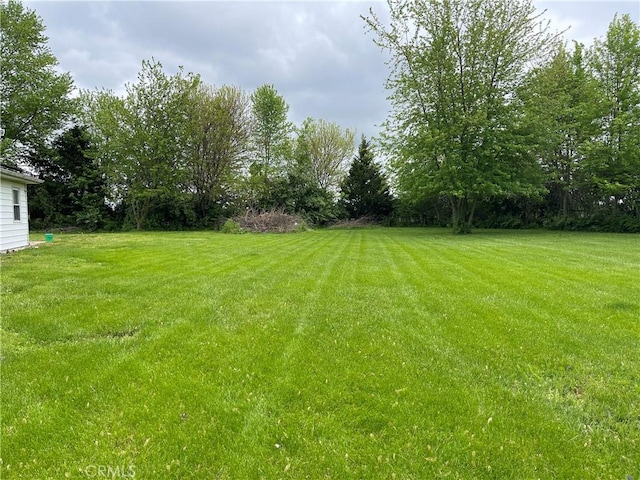 12409 Stamper Rd, Girard, IL 62640 - view of grassy yard