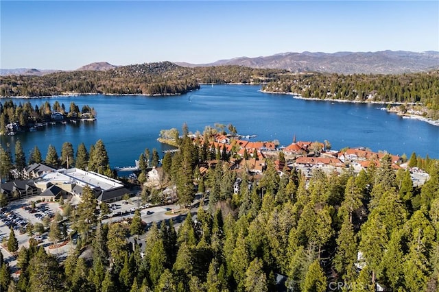 222 Holiday Dr, Lake Arrowhead, CA 92352 - water view with a forest and mountains