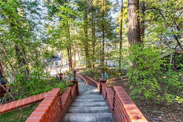 222 Holiday Dr, Lake Arrowhead, CA 92352 - view of surrounding community