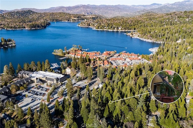 222 Holiday Dr, Lake Arrowhead, CA 92352 - drone / aerial view of a heavily wooded area and a water and mountain view