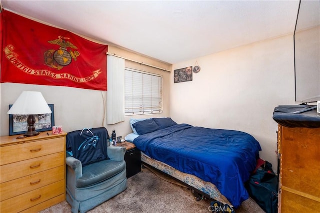 9656 Pebble Brook Dr, Moreno Valley, CA 92557 - view of carpeted bedroom
