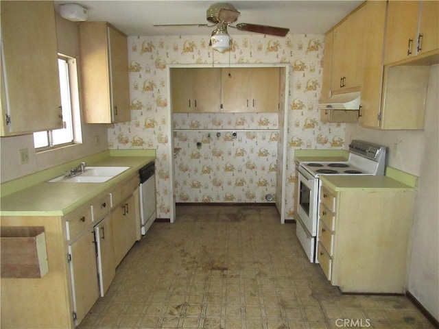 kitchen with white appliances, under cabinet range hood, wallpapered walls, light countertops, and a ceiling fan