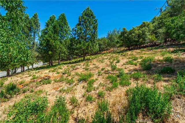 3126 Edgewood Dr, Kelseyville, CA 95451 - photo 69