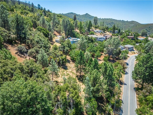 3126 Edgewood Dr, Kelseyville, CA 95451 - photo 22