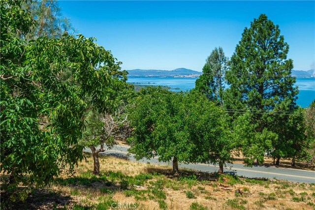 3126 Edgewood Dr, Kelseyville, CA 95451 - photo 60