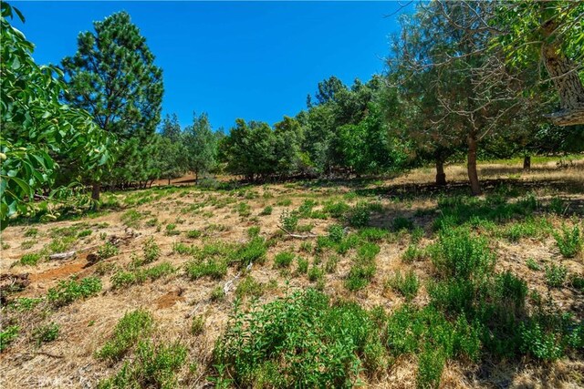 3126 Edgewood Dr, Kelseyville, CA 95451 - photo 70