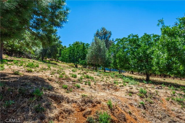 3126 Edgewood Dr, Kelseyville, CA 95451 - photo 49