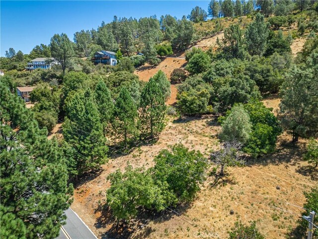 3126 Edgewood Dr, Kelseyville, CA 95451 - photo 41