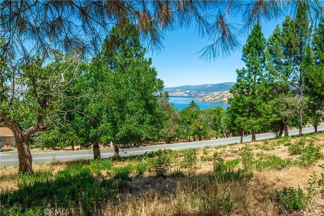 3126 Edgewood Dr, Kelseyville, CA 95451 - photo 65