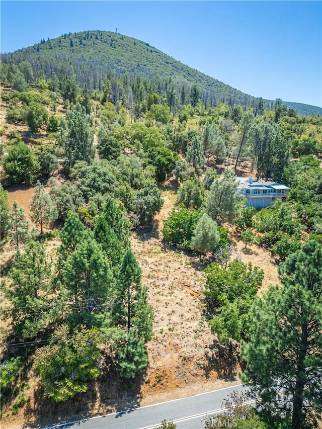 3126 Edgewood Dr, Kelseyville, CA 95451 - photo 26
