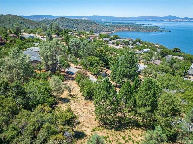 3126 Edgewood Dr, Kelseyville, CA 95451 - photo 19
